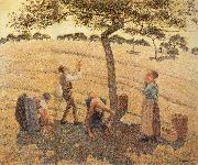 Camille Pissarro Pick Apple Spain oil painting artist